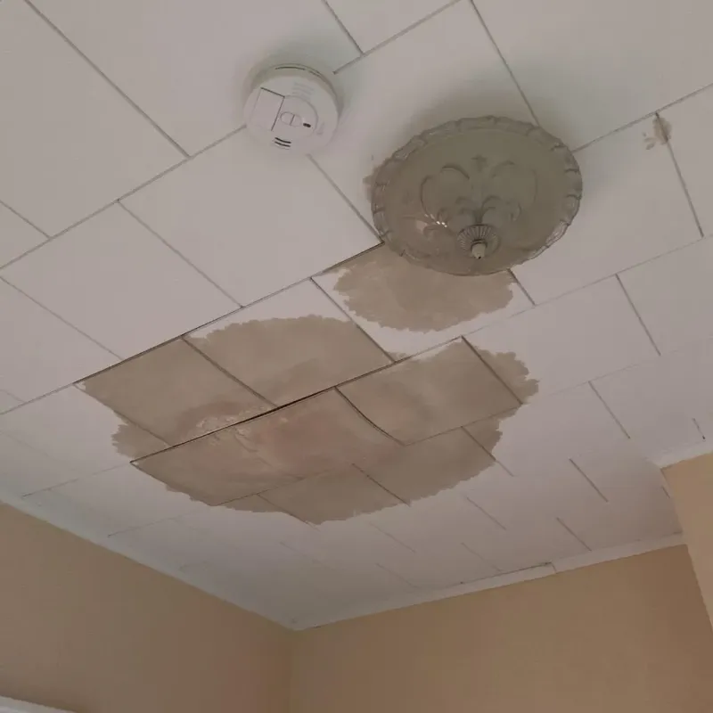 Ceiling Water Damage Repair in Spencer, IN