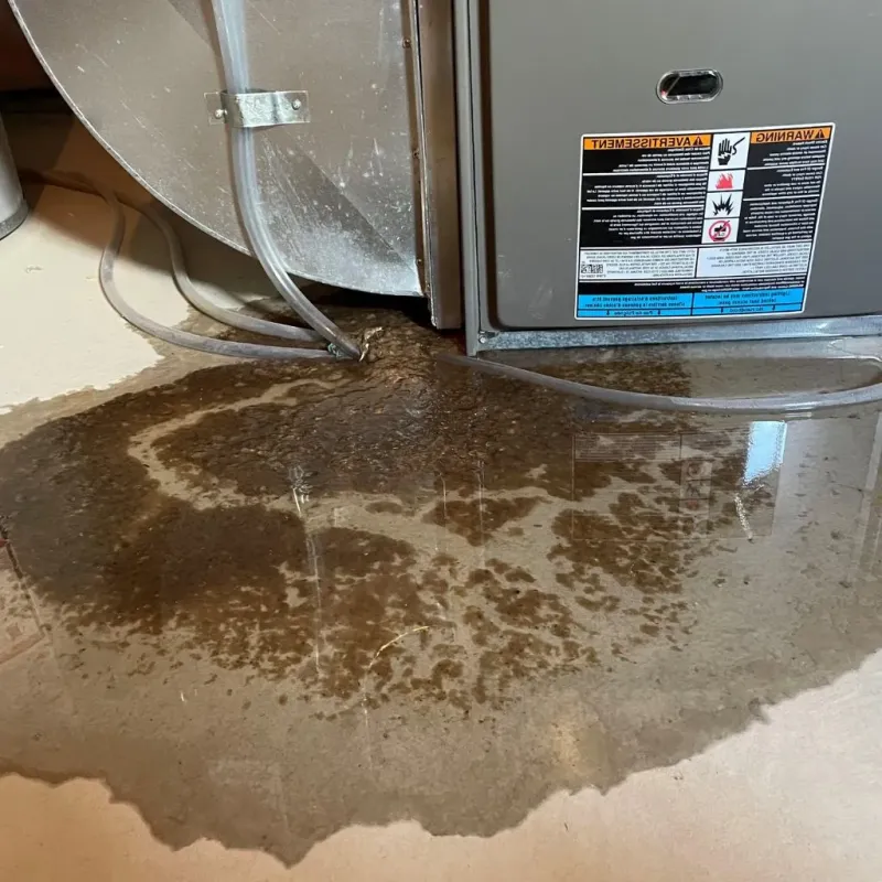 Pipe Burst and Leak Restoration in Spencer, IN