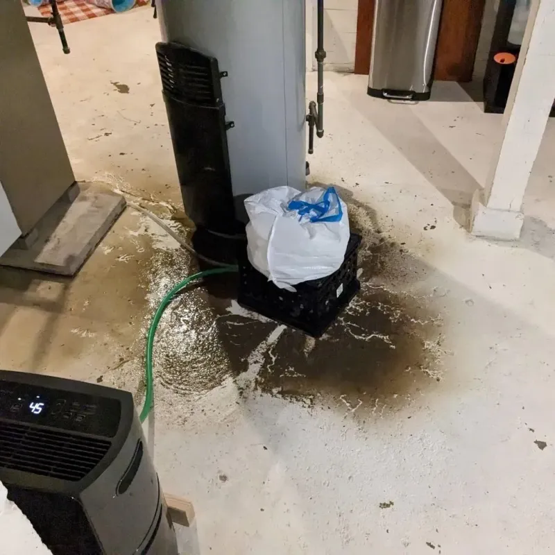 Sewage Backup Cleanup Service in Spencer, IN